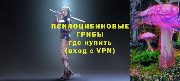 дурь Балахна