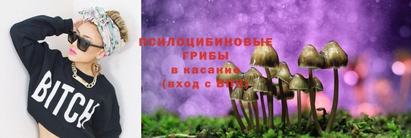 твердый Балабаново