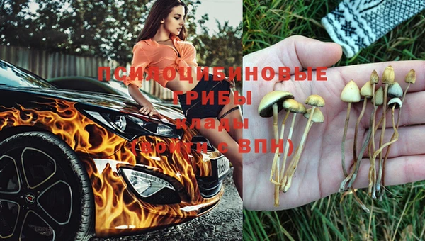дурь Балахна