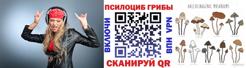 ОМГ ОМГ ссылки  Новый Уренгой  Галлюциногенные грибы Psilocybe 